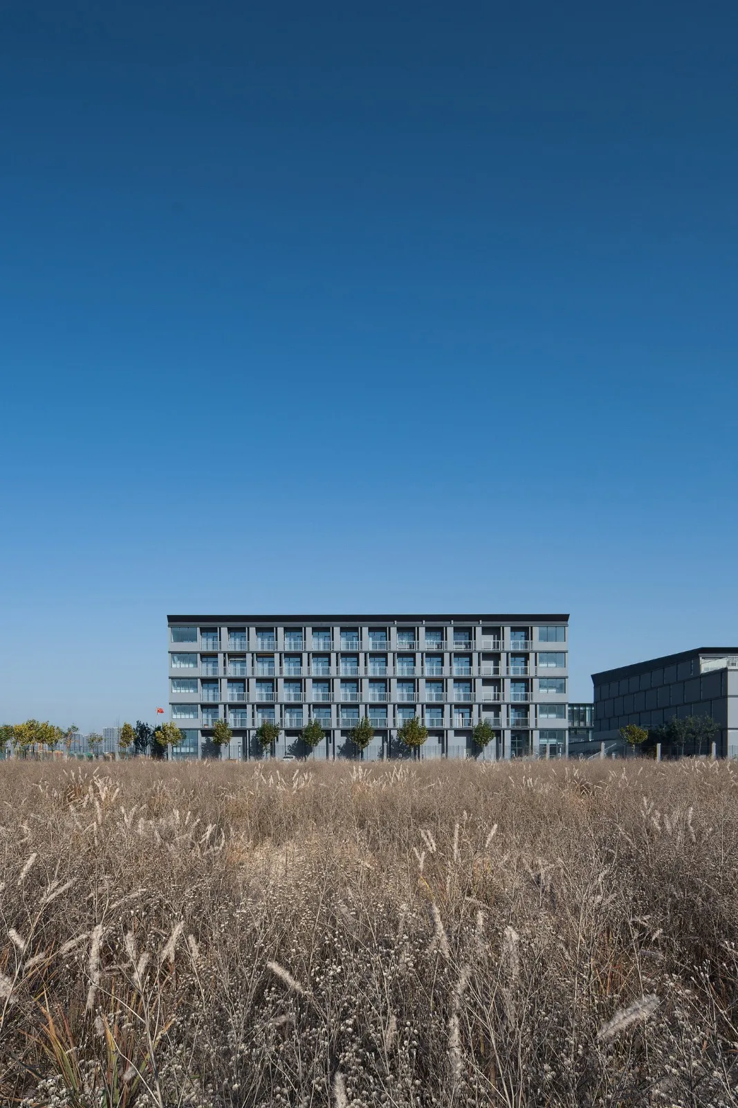 BIM Architecture | Zhengzhou Airport Eighth Resettlement Area Supporting Middle School and Zhengzhou No. 130 Middle School/Shanghai Lianchuang Design Group
