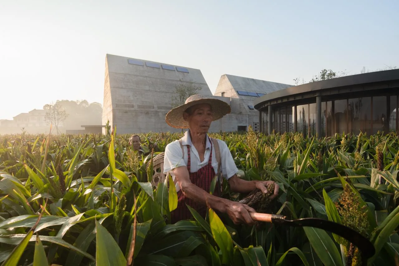 BIM Architecture | A Country Club that Unleashes Nature: JOYBO FARM/Wujian Architectural Design Firm on Jiang Xiaobai's One Acre Three Part Land