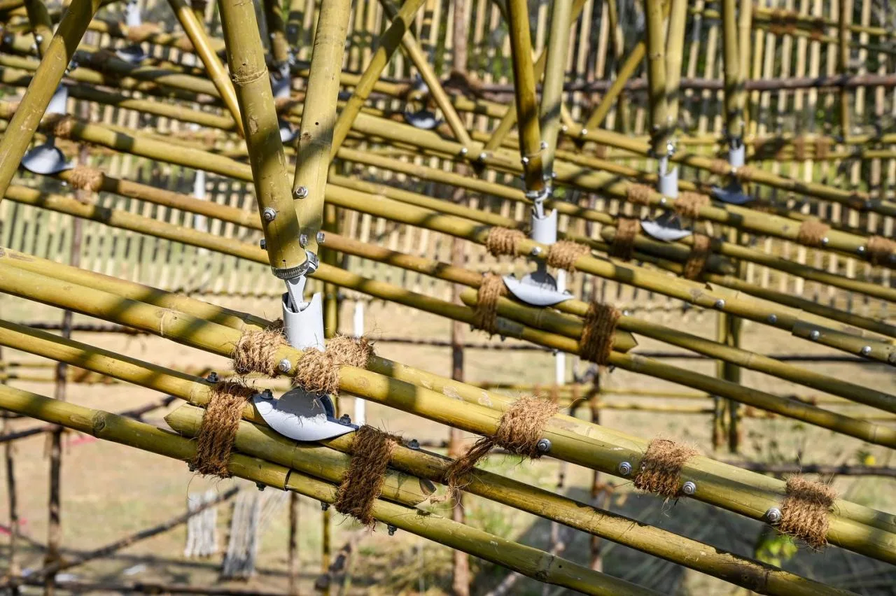 BIM Architecture | Craftsman Bamboo System Yogashala/ThumbImpressions