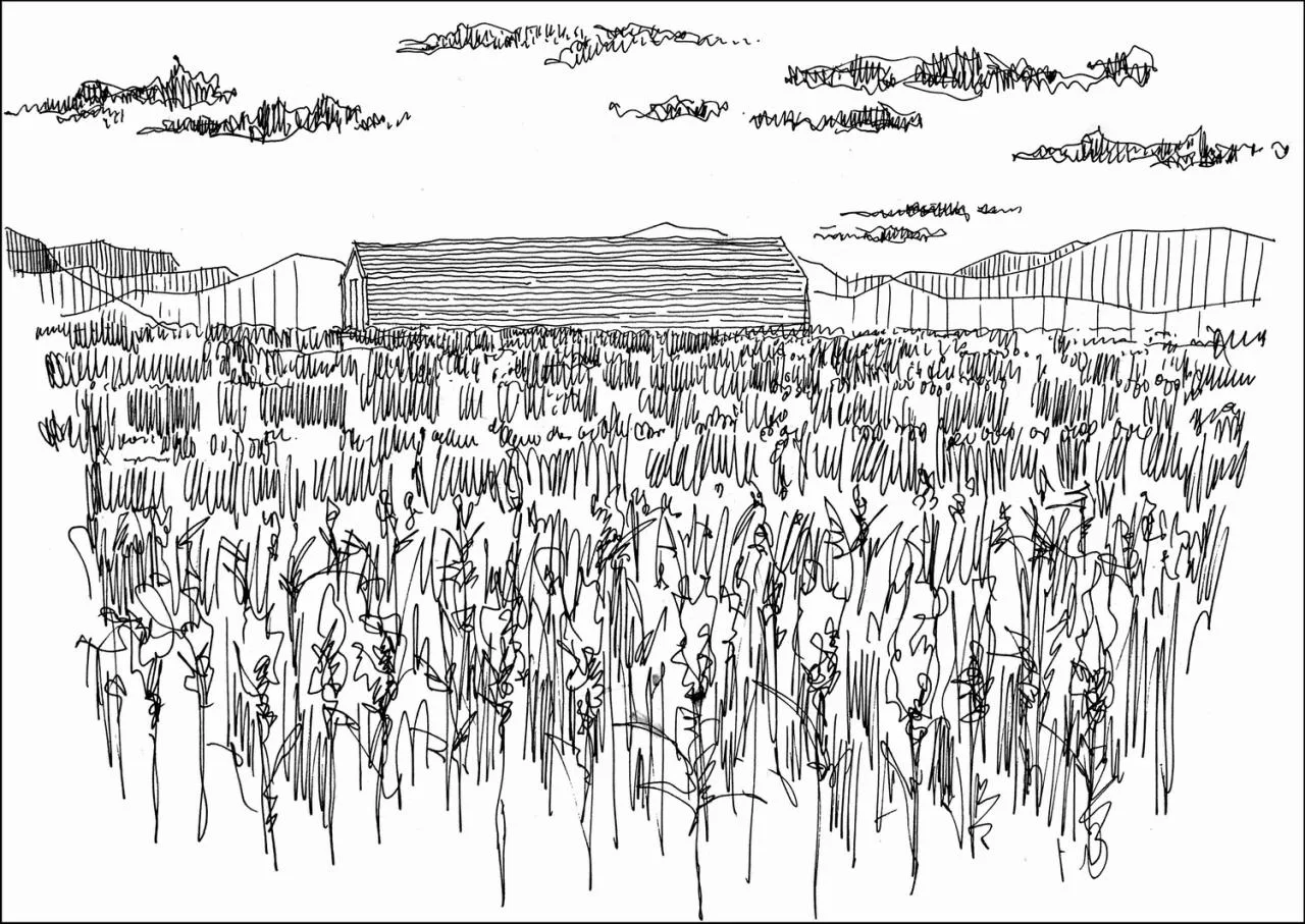 BIM Architecture | A Country Club that Unleashes Nature: JOYBO FARM/Wujian Architectural Design Firm on Jiang Xiaobai's One Acre Three Part Land