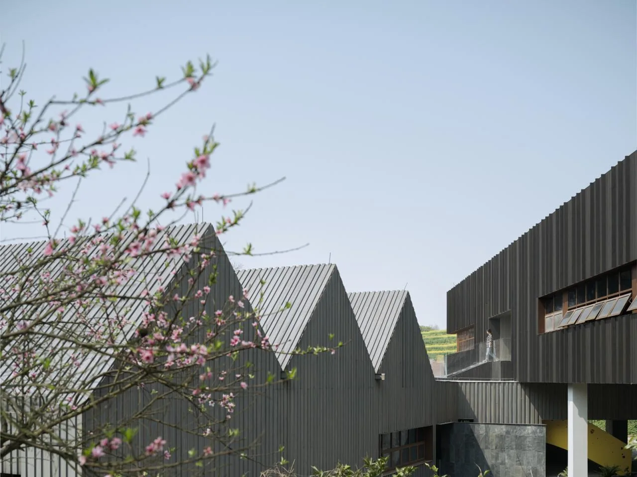BIM Architecture | A Country Club that Unleashes Nature: JOYBO FARM/Wujian Architectural Design Firm on Jiang Xiaobai's One Acre Three Part Land