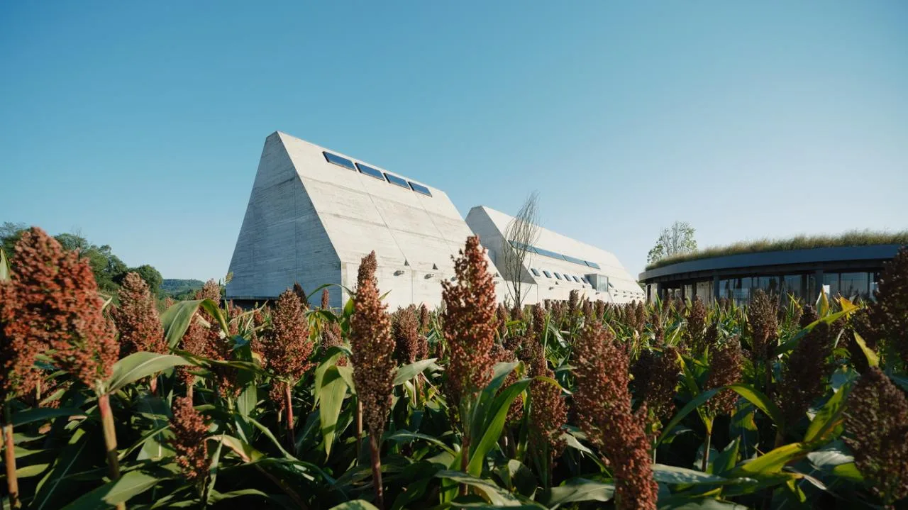 BIM Architecture | A Country Club that Unleashes Nature: JOYBO FARM/Wujian Architectural Design Firm on Jiang Xiaobai's One Acre Three Part Land
