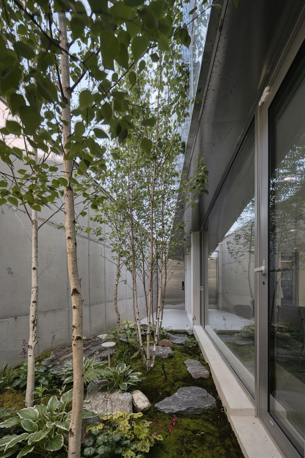 BIM Architecture | Twisted Space Creation, Metal Facade Residential/Archirie