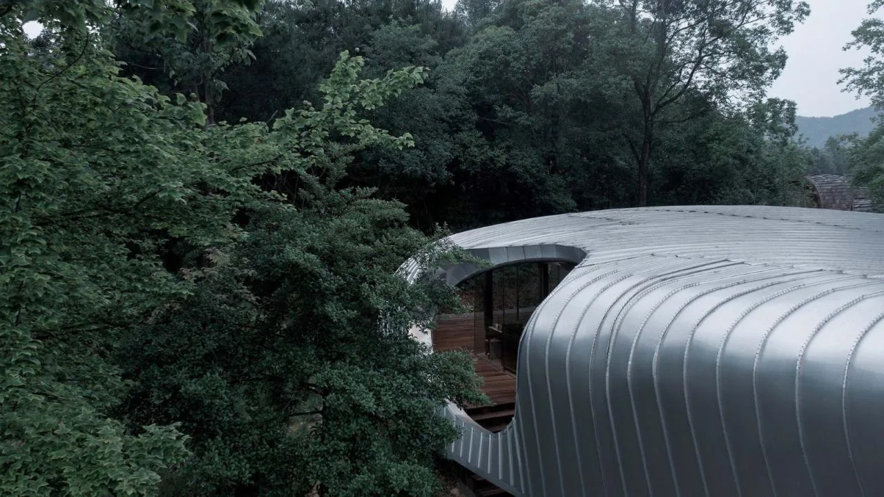 BIM Architecture | Xinyu Tree Frog Nature Experience Center/Dimensional Architecture