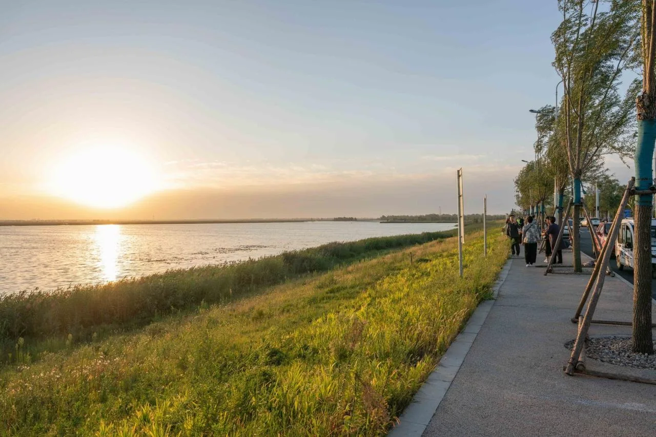 BIM Architecture | Xiong'an Baiyangdian Waterfront Park/TLS Landscape Design Firm