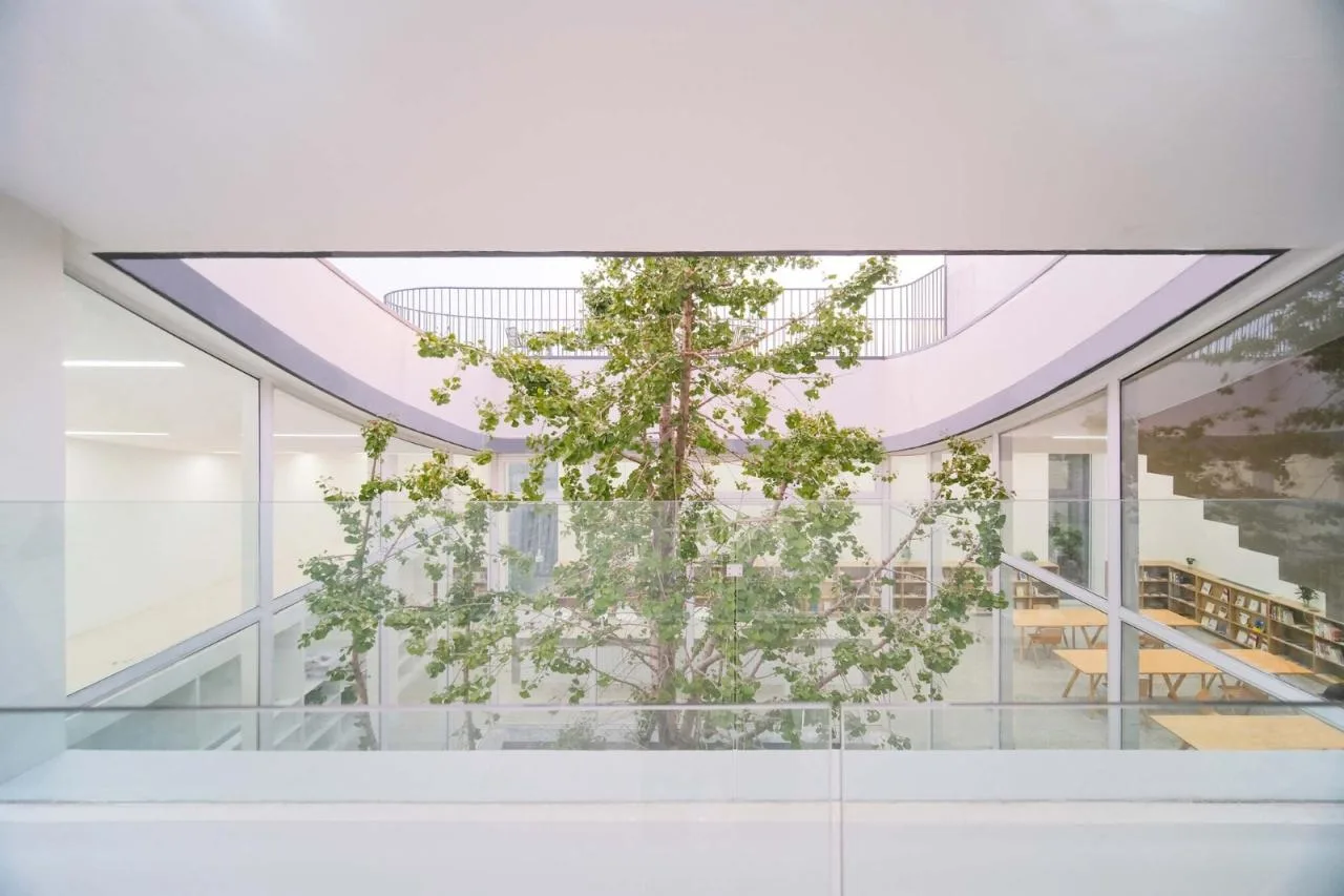 BIM Architecture | Meeting Room in Bache School Town/Proper Design