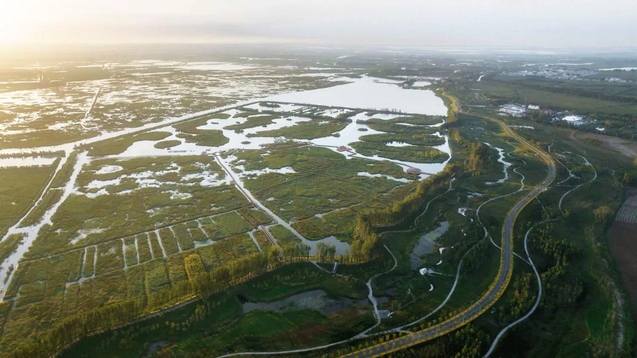 BIM Architecture | Xiong'an Baiyangdian Waterfront Park/TLS Landscape Design Firm