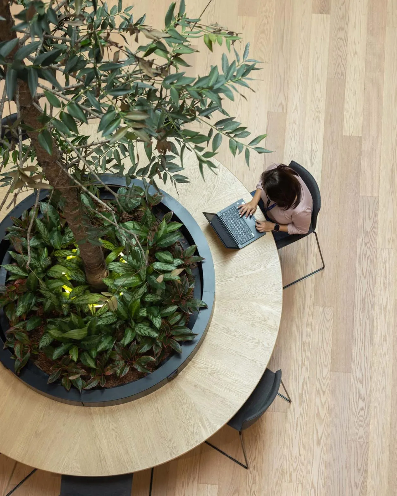 BIM Architecture | Dyson Global Headquarters/Mu's Architectural Design