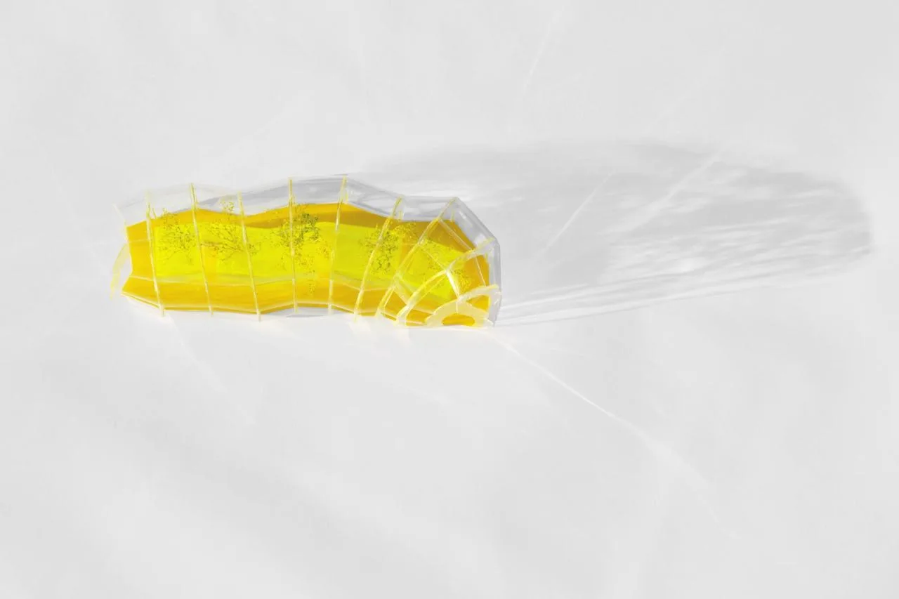 BIM Architecture | Design Block Canteen/Selgascano