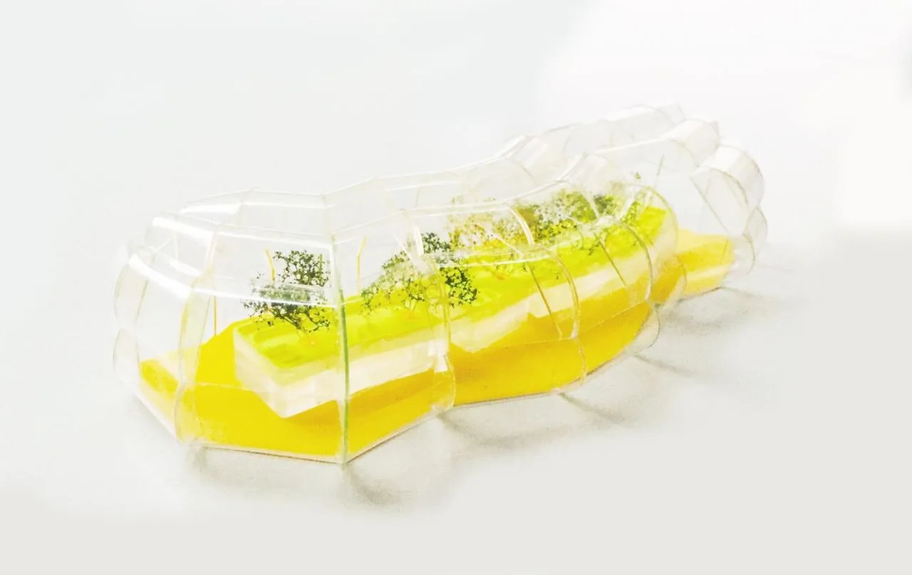 BIM Architecture | Design Block Canteen/Selgascano