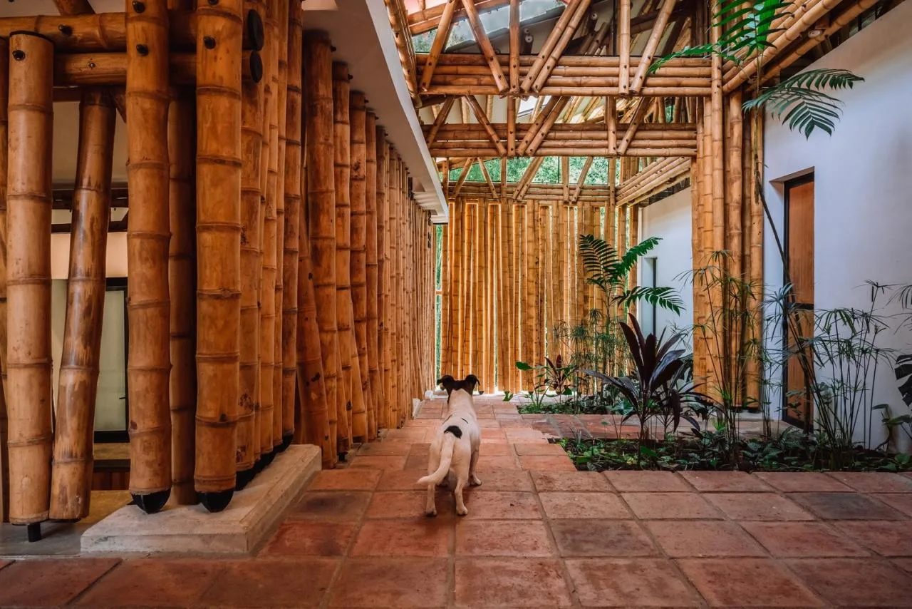 BIM Architecture | Surrounding Bamboo Grove, Milguaduas Residential/Ritmo Arquitectos