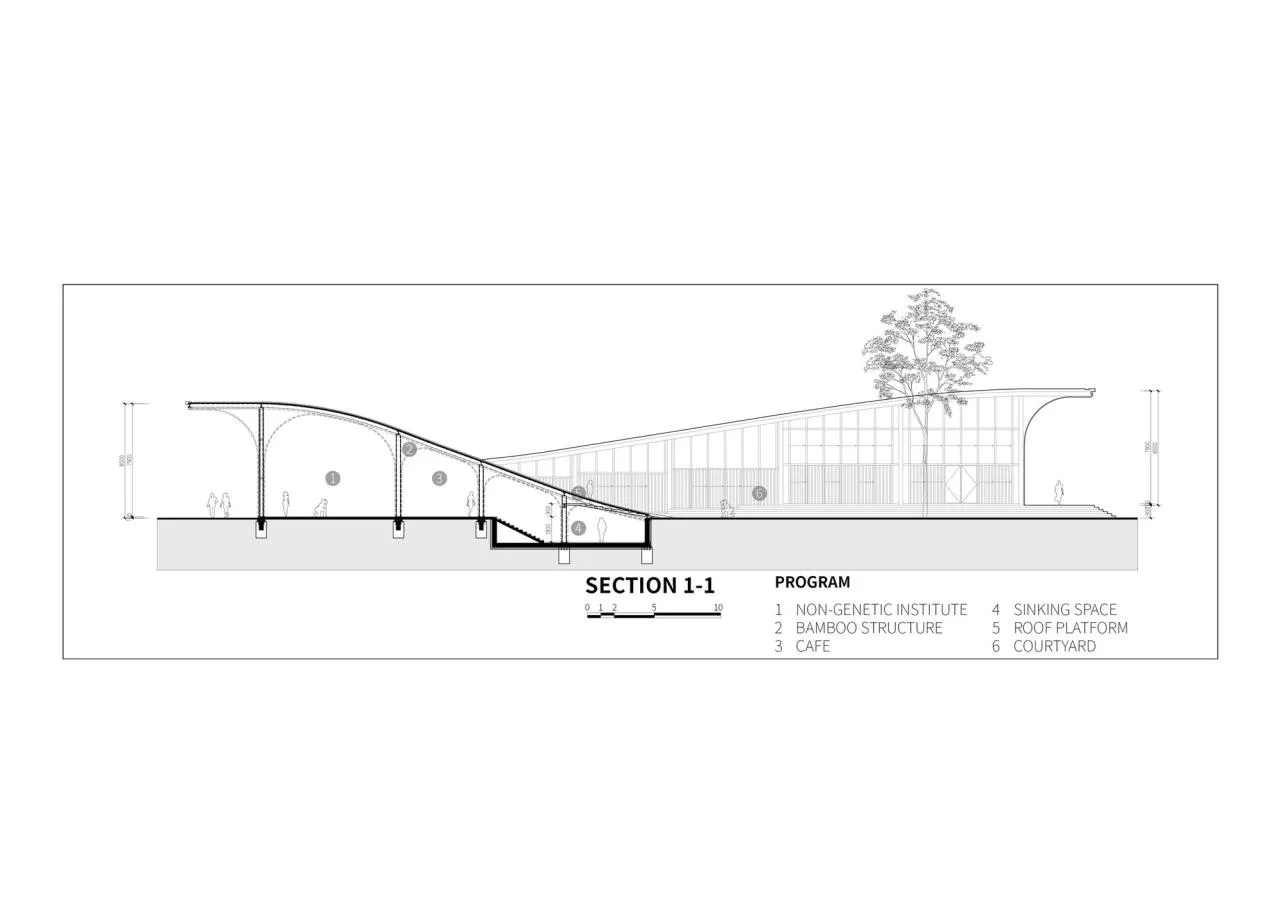 BIM Architecture | Qionglai Bamboo Museum/UNO Architects