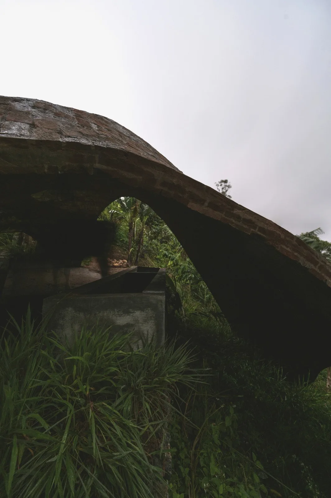 BIM architecture | Thin shell dome structure cowshed/Rnd Earth