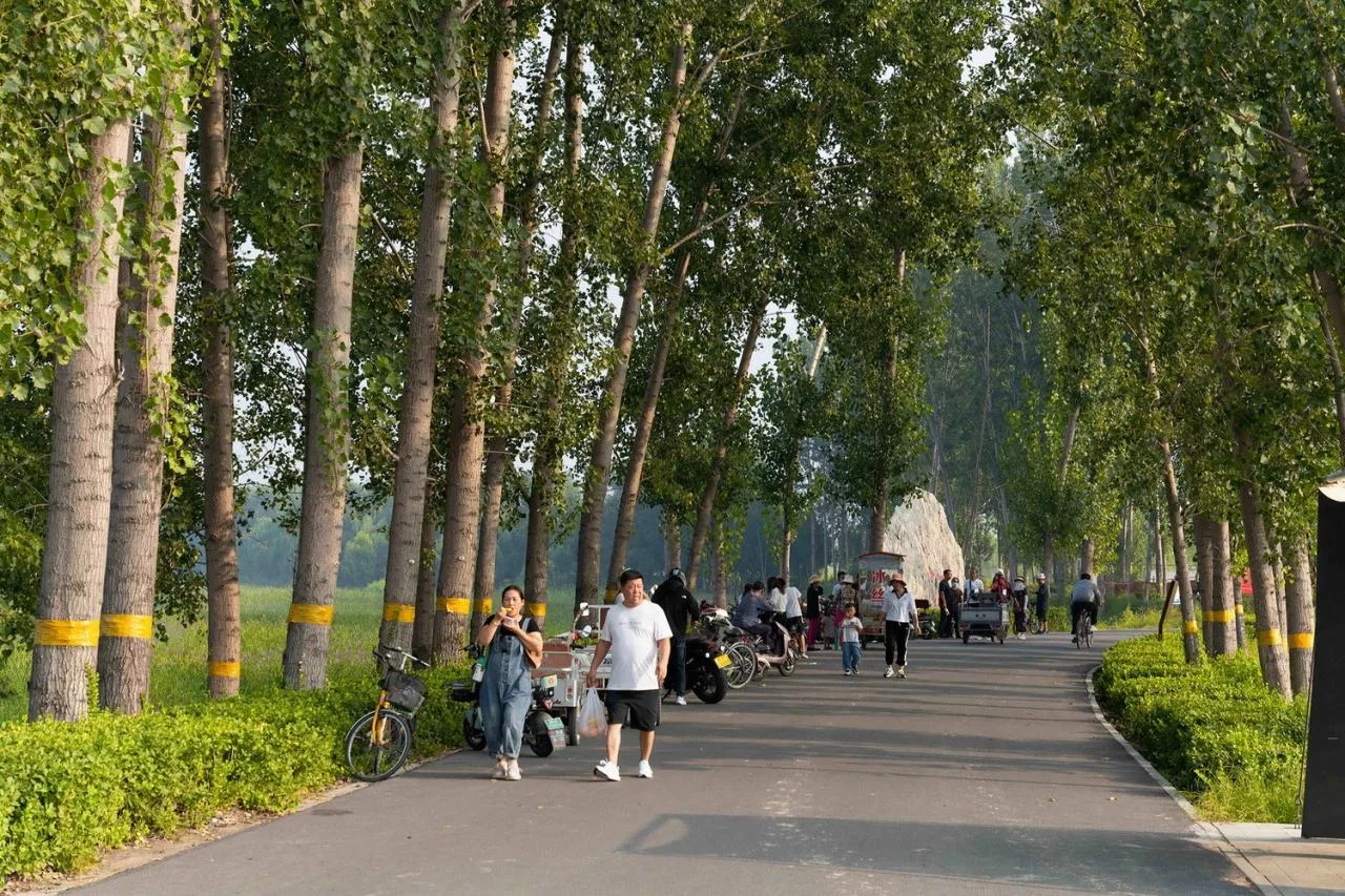 BIM Architecture | Xiong'an Baiyangdian Waterfront Park/TLS Landscape Design Firm