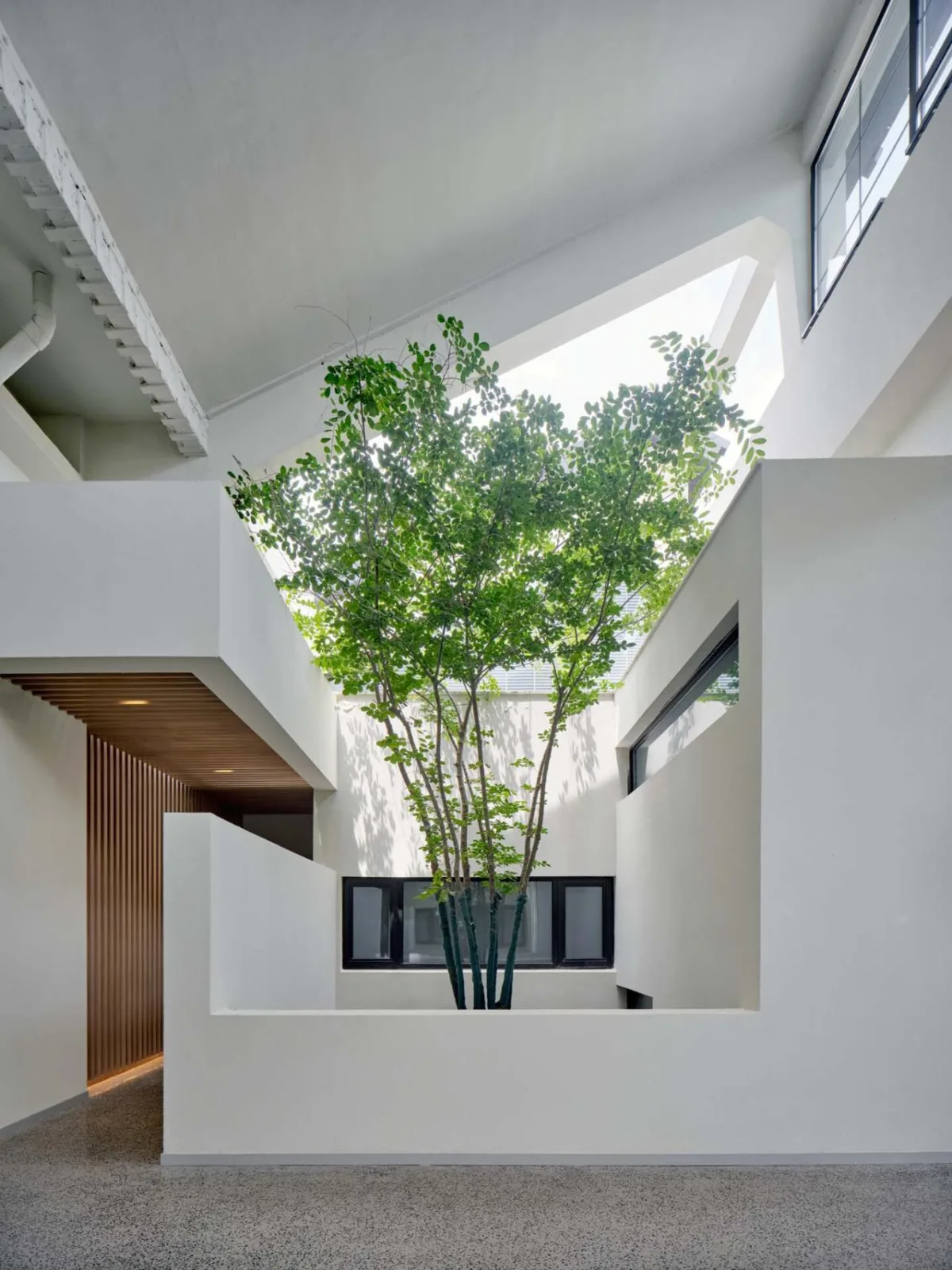 BIM Architecture | Guangming Dongtanyuan (formerly Qianshao Weaving Factory renovation) - Guest Room Area/Tongji Original Design Studio
