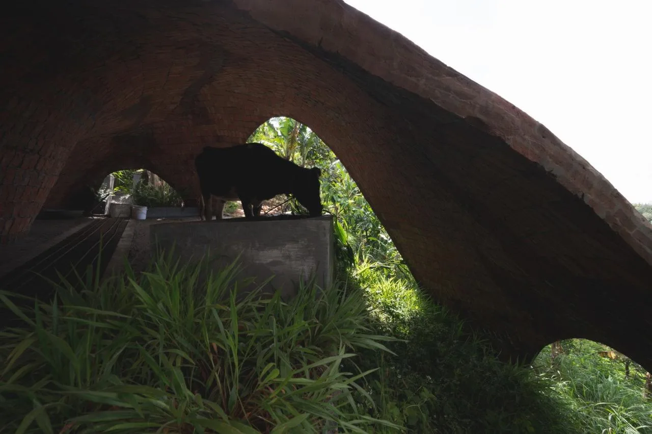 BIM architecture | Thin shell dome structure cowshed/Rnd Earth