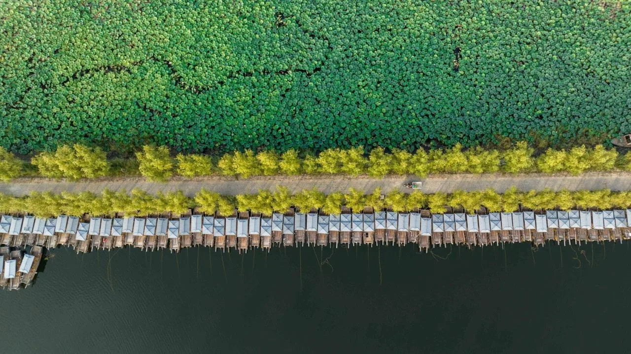 BIM Architecture | Xiong'an Baiyangdian Waterfront Park/TLS Landscape Design Firm