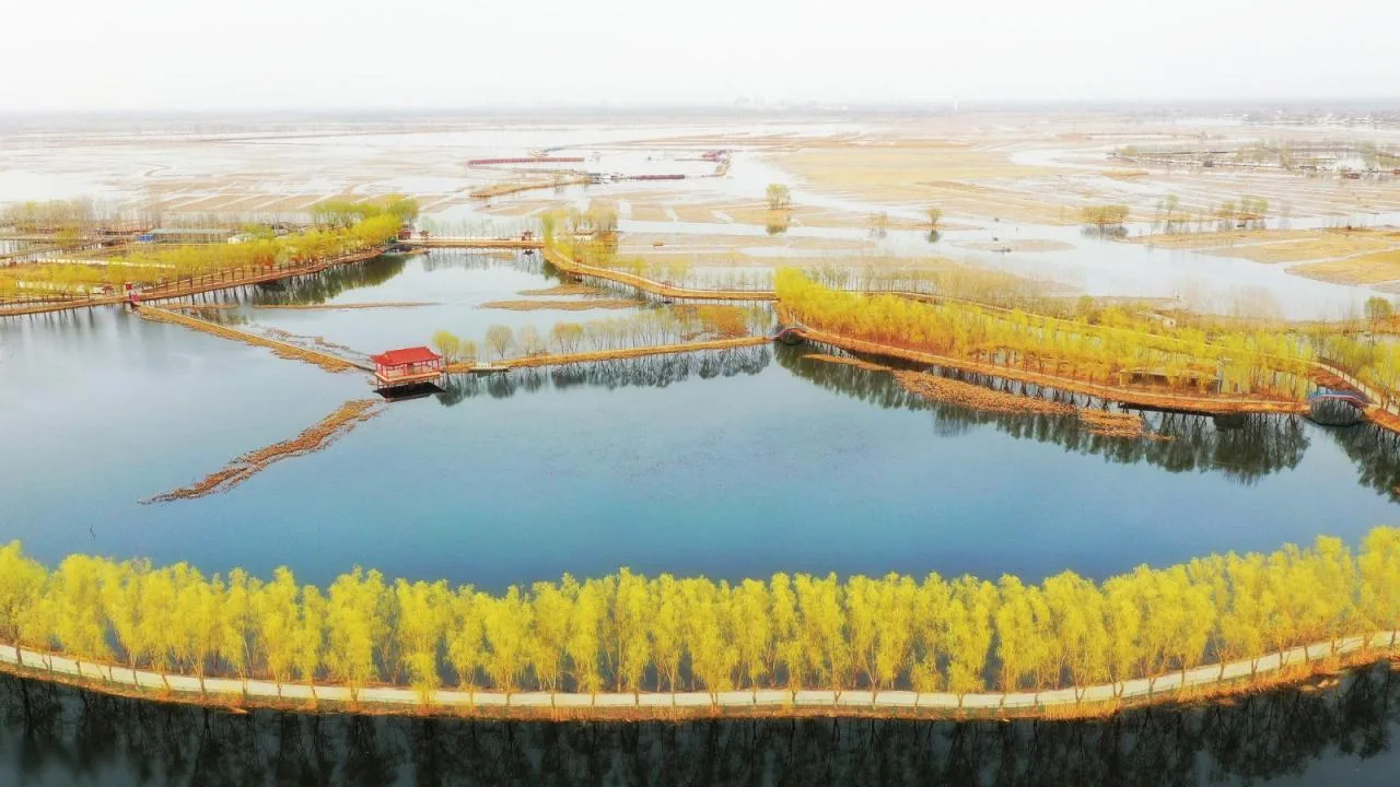 BIM Architecture | Xiong'an Baiyangdian Waterfront Park/TLS Landscape Design Firm