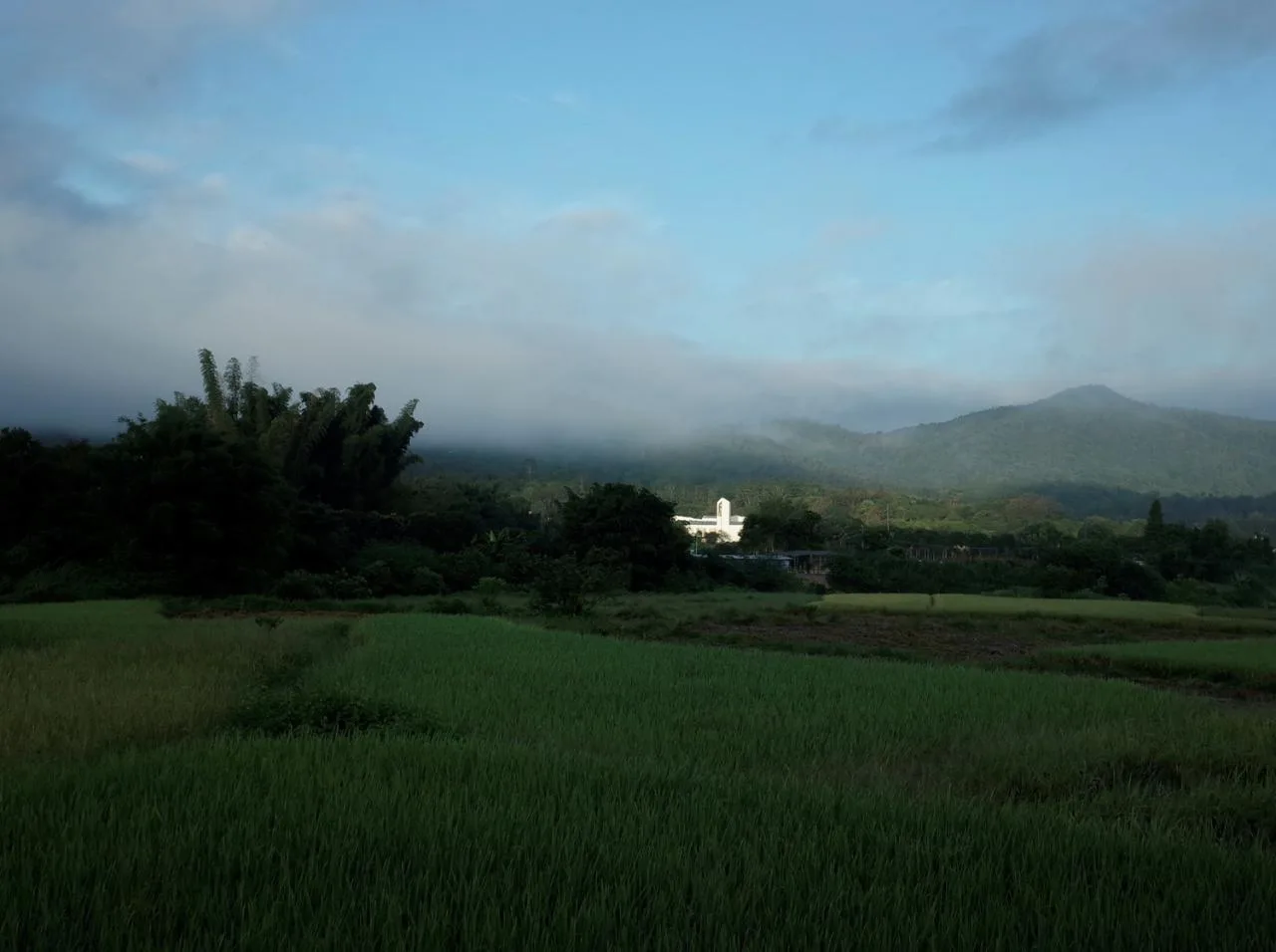 BIM Architecture | Jiaheyuan Nature Education Camp/Outside City Architecture
