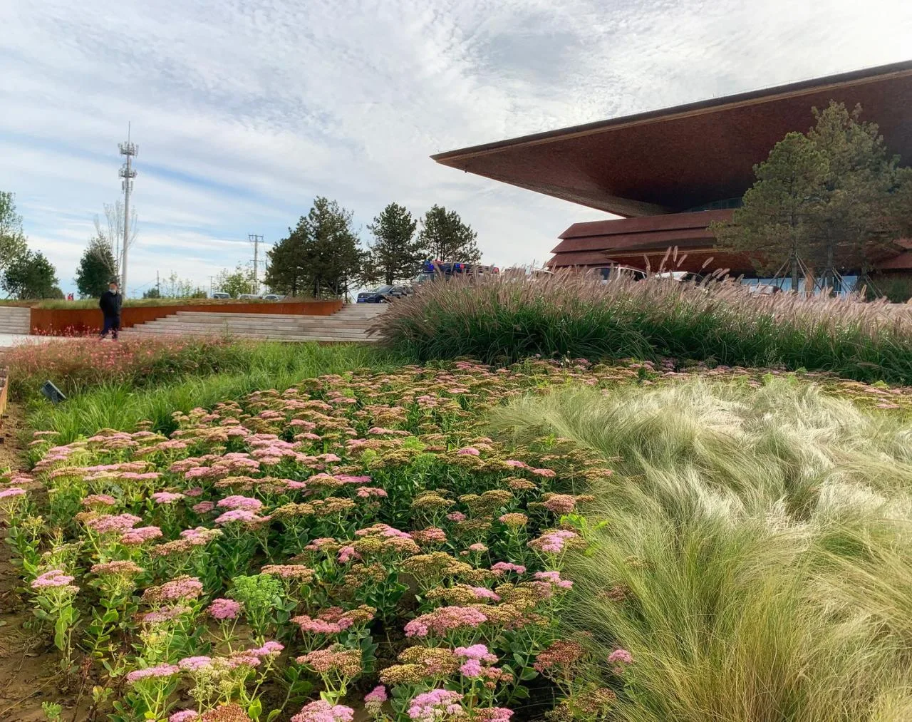 BIM Architecture | Xiong'an Baiyangdian Waterfront Park/TLS Landscape Design Firm