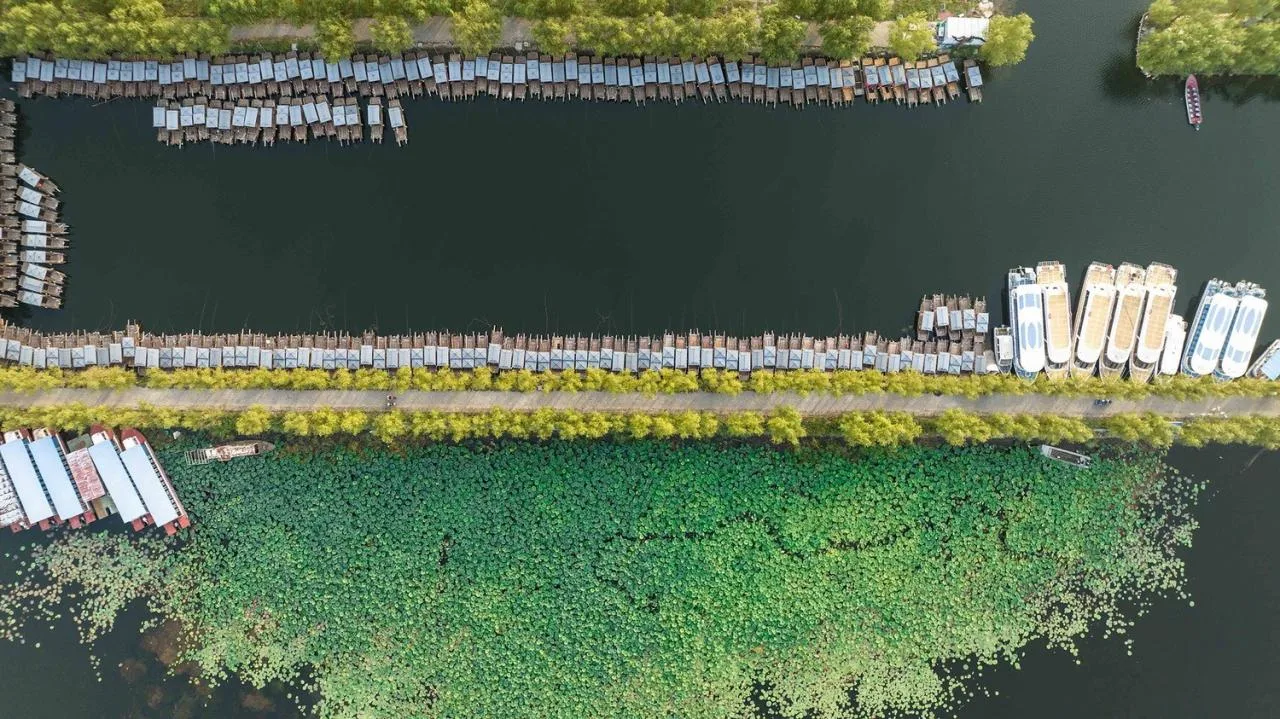 BIM Architecture | Xiong'an Baiyangdian Waterfront Park/TLS Landscape Design Firm