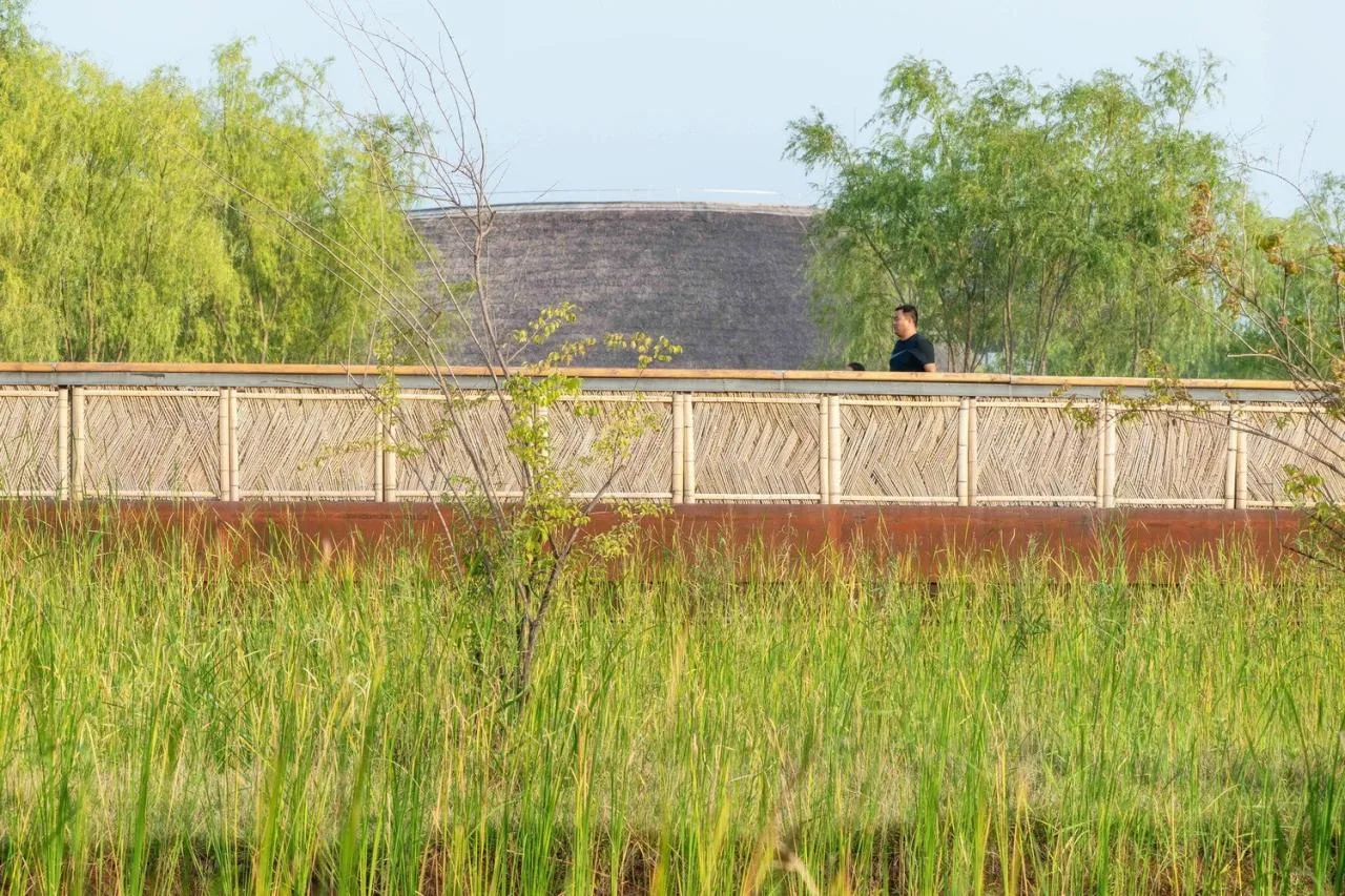 BIM Architecture | Xiong'an Baiyangdian Waterfront Park/TLS Landscape Design Firm