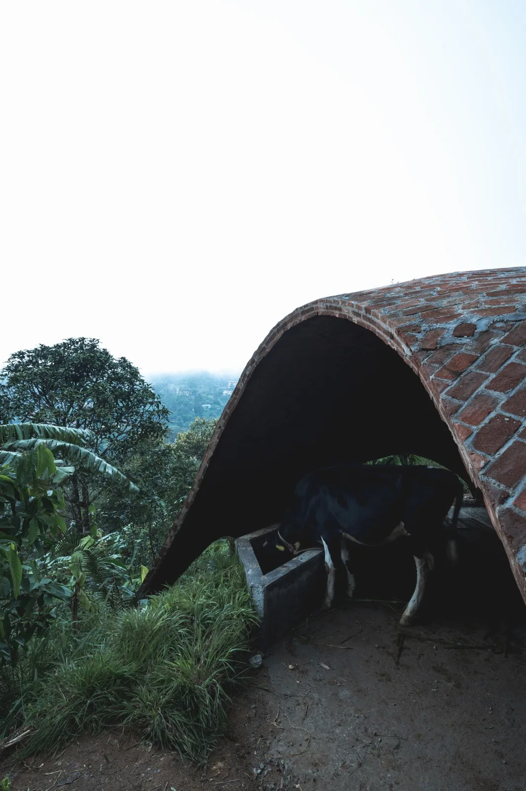 BIM architecture | Thin shell dome structure cowshed/Rnd Earth