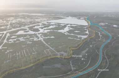 BIM Architecture in Xiong'an Baiyangdian Waterfront Park by TLS Landscape Design-BIM WORLD