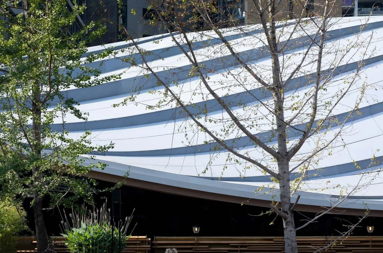 BIM Architecture | Jiaozi Avenue Wooden Roof Restaurant/Zhiye Building
