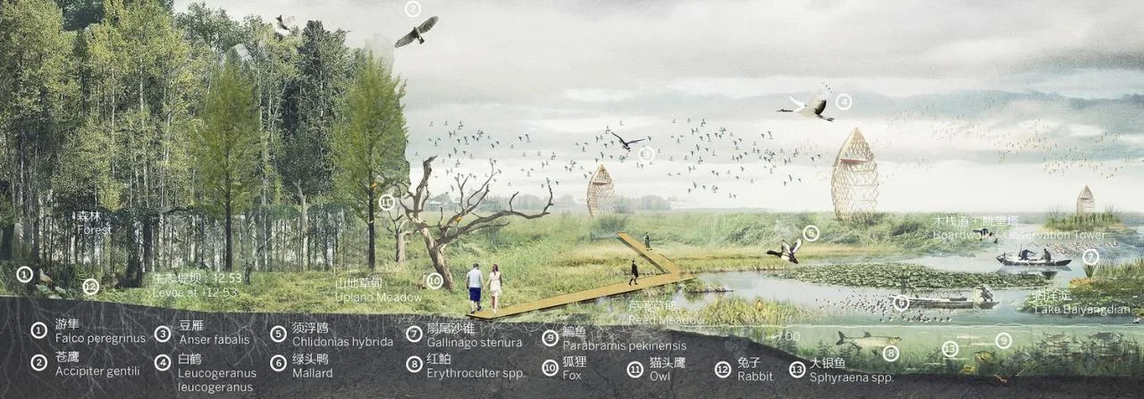 BIM Architecture | Xiong'an Baiyangdian Waterfront Park/TLS Landscape Design Firm