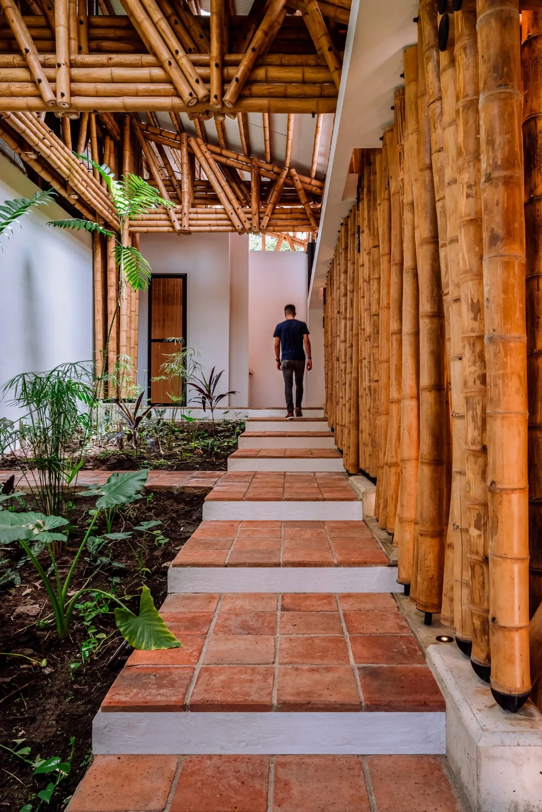 BIM Architecture | Surrounding Bamboo Grove, Milguaduas Residential/Ritmo Arquitectos