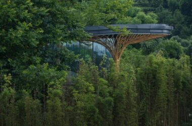Qionglai Bamboo Museum by UNO Architects: A BIM-Driven Architectural Showcase-BIM WORLD
