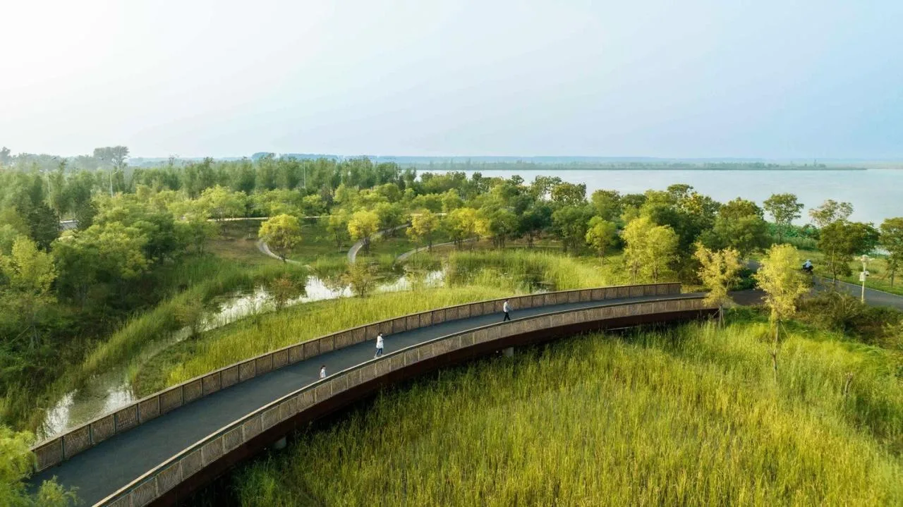 BIM Architecture | Xiong'an Baiyangdian Waterfront Park/TLS Landscape Design Firm