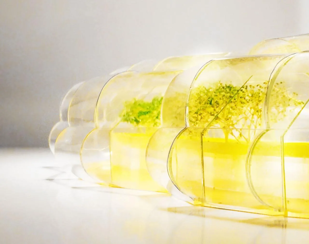 BIM Architecture | Design Block Canteen/Selgascano