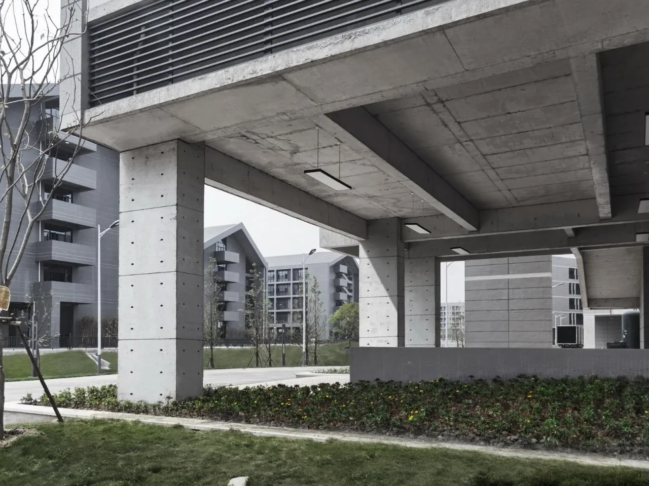 BIM Architecture | Xingshan Leshui Shuzihua: Changjiang Art Engineering Vocational College 3 # Teaching and Training Building/Hubei Jianyifeng Engineering Design Co., Ltd
