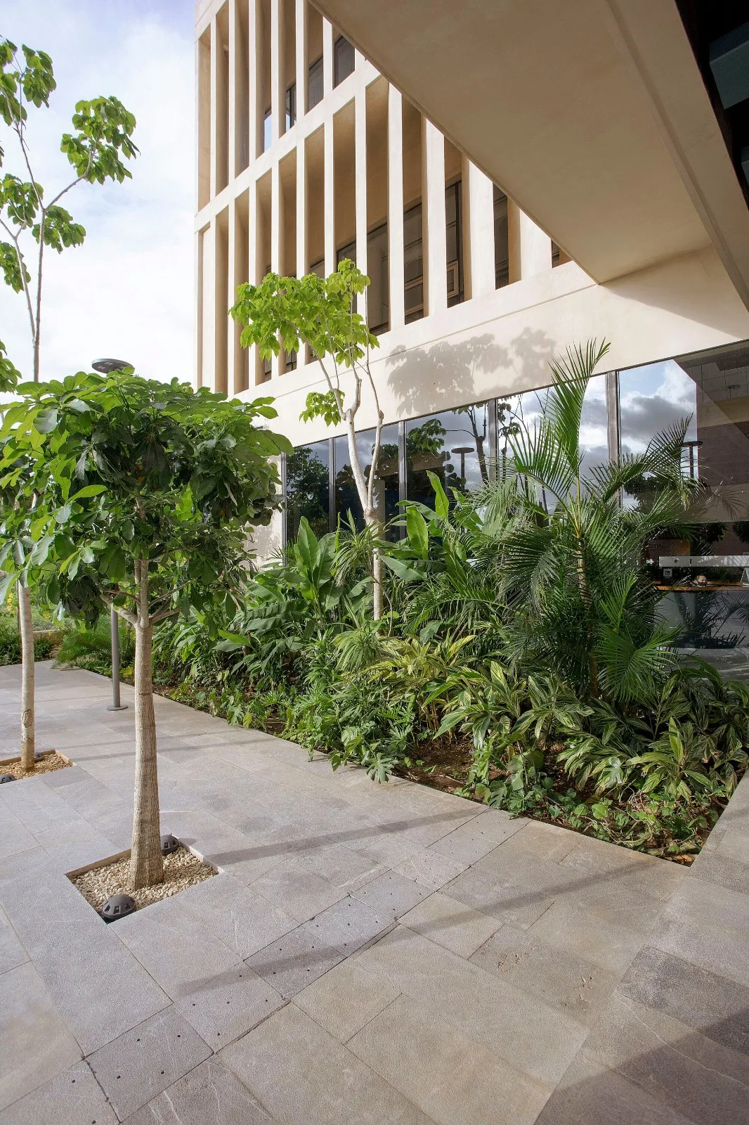 BIM Architecture | Merida Bank and Business School/IUA Ignacio Urquiza Arquitectos