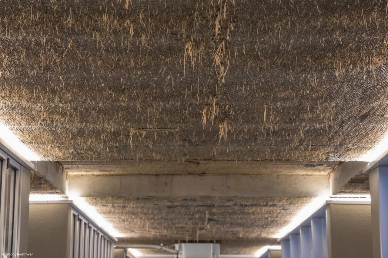 BIM Architecture | 'Cross Cultural Space', NONSPACE Cafe/ON Architecture INC