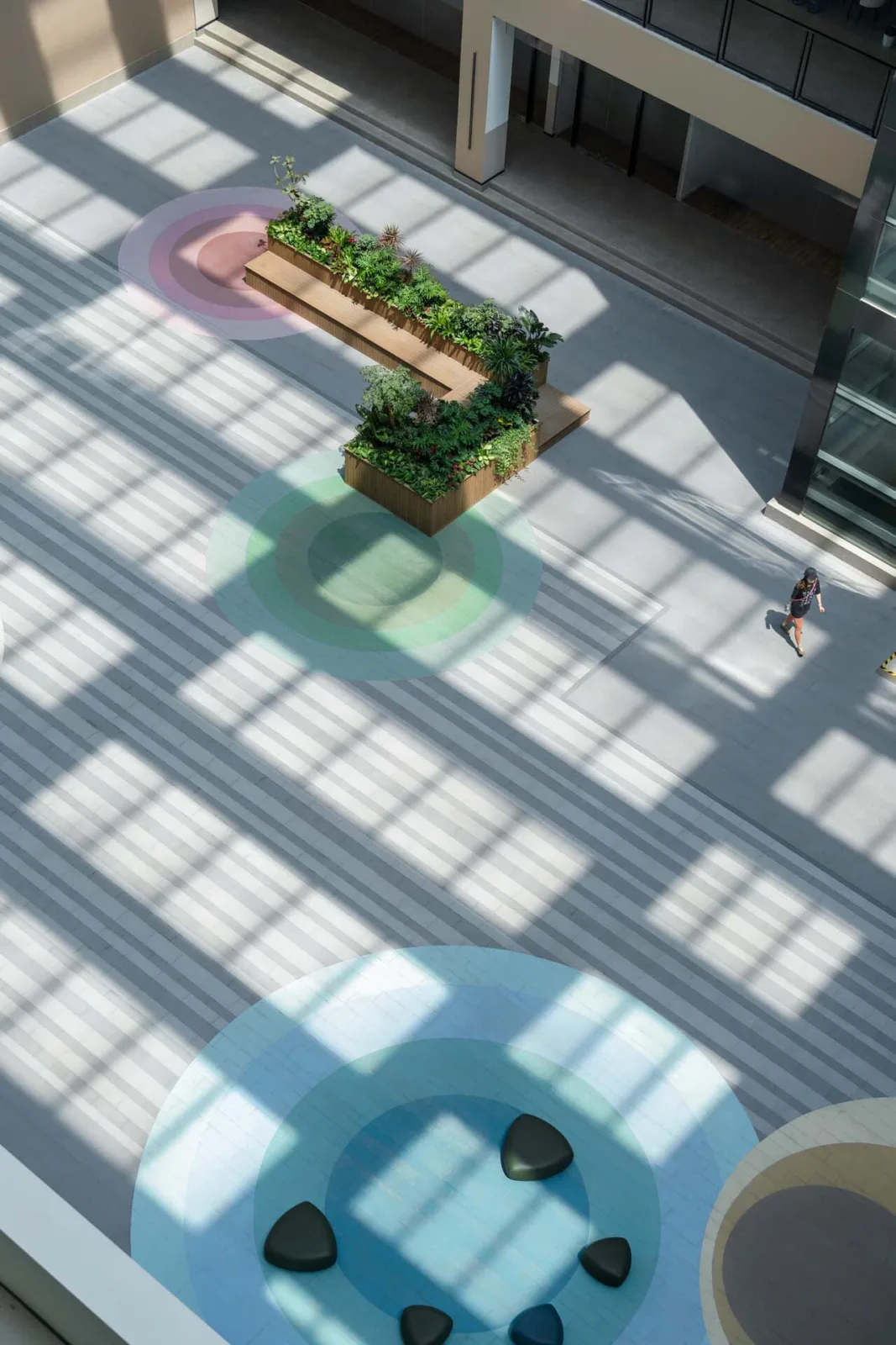 BIM Architecture | Nanjing South Normal University Zijin Campus Overall Renovation Project/Duze Design