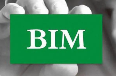 BIM Q&A: Understanding the Types, Definitions, and Classifications of BIM Standards-BIM WORLD