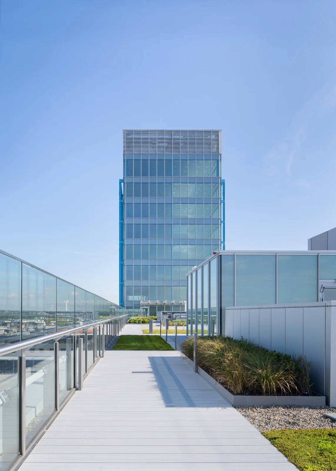 BIM Architecture | Blue 'Bones', EXO Office Building/Shay Cleary Architects
