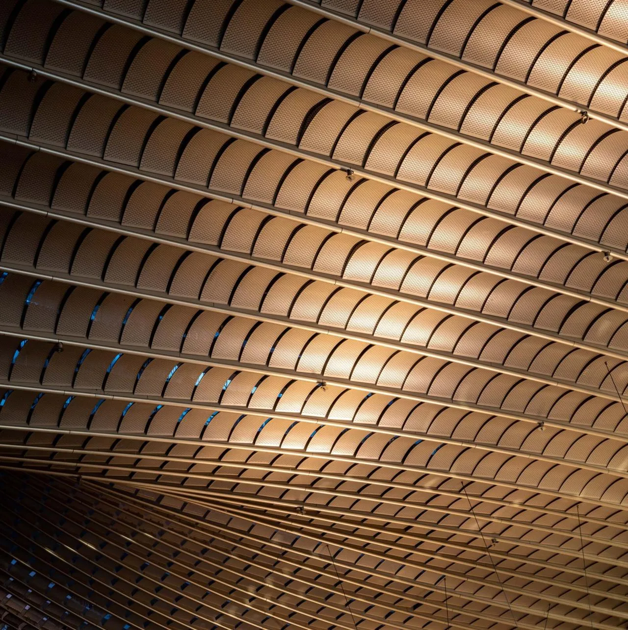 BIM Architecture | Hong Kong Palace Museum/Yan Xunqi Architectural Firm