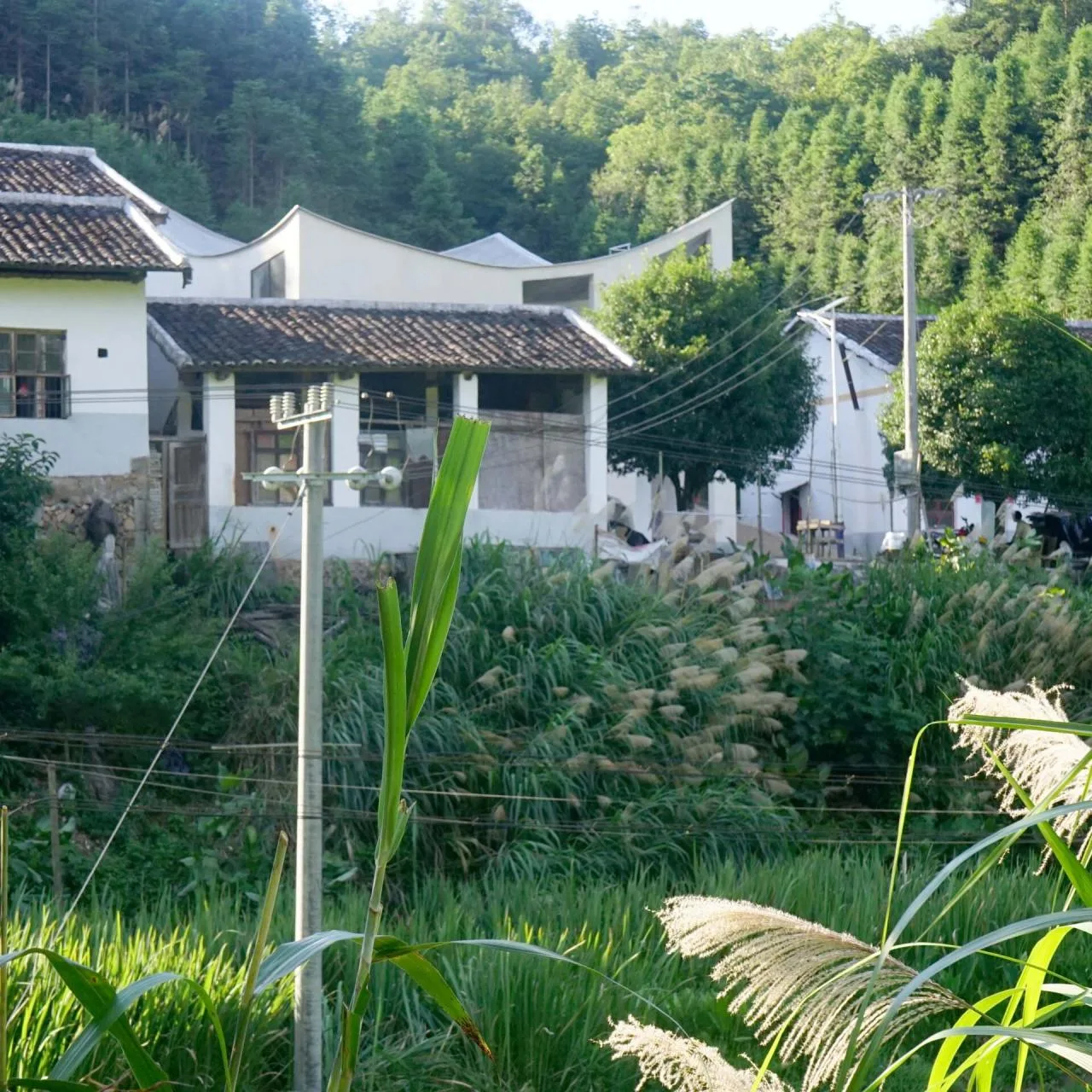 BIM Architecture | Rural Studio/Jumping House Architecture Studio