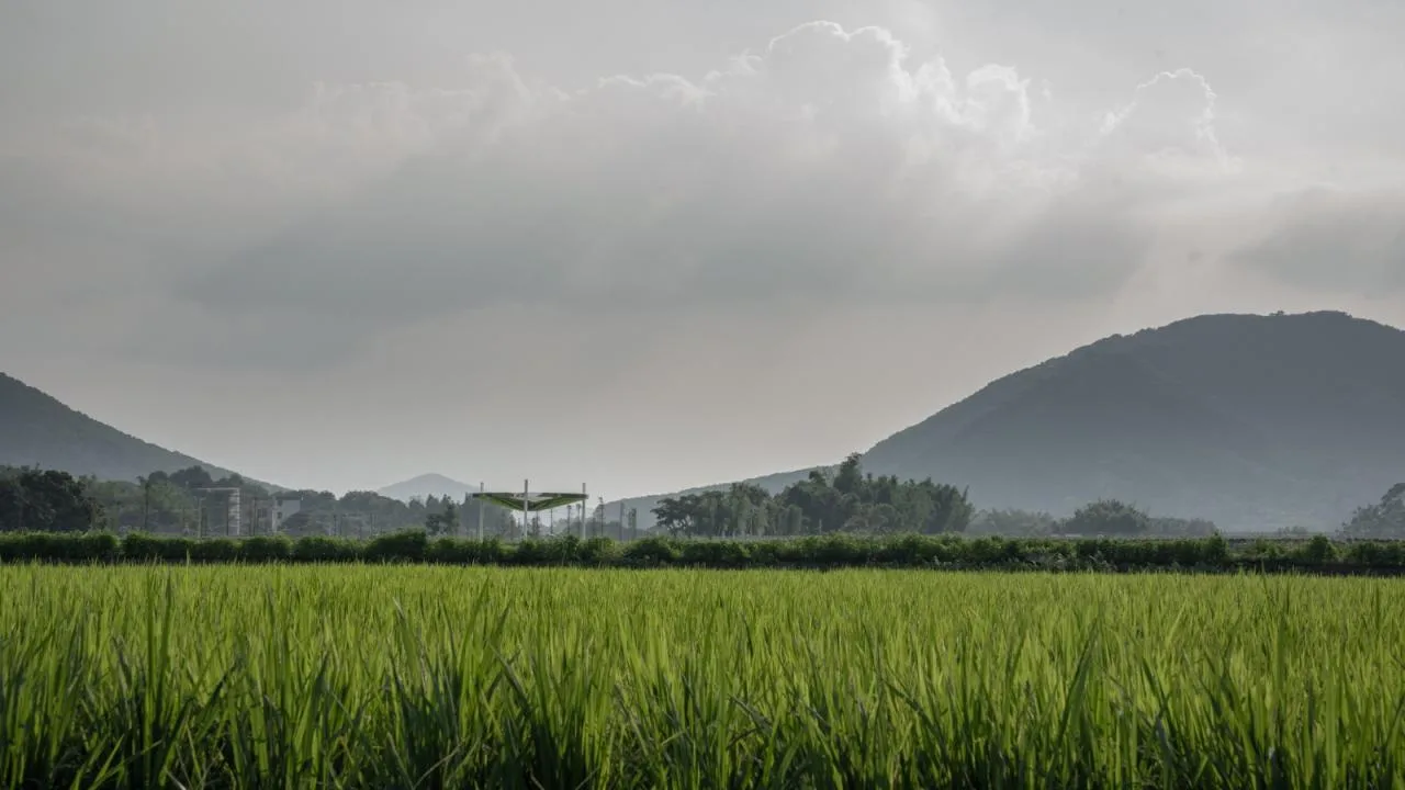 BIM Architecture | Amy Future Agriculture, Culture and Tourism Town/Additive Think Tank Design Firm