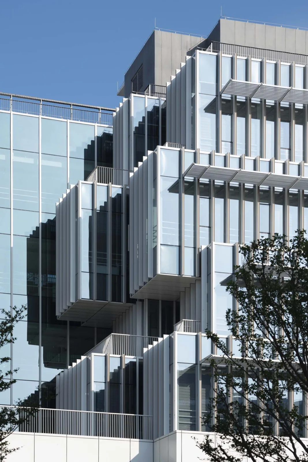 BIM Architecture | Hong Kong University of Science and Technology (Guangzhou) Campus/KPF