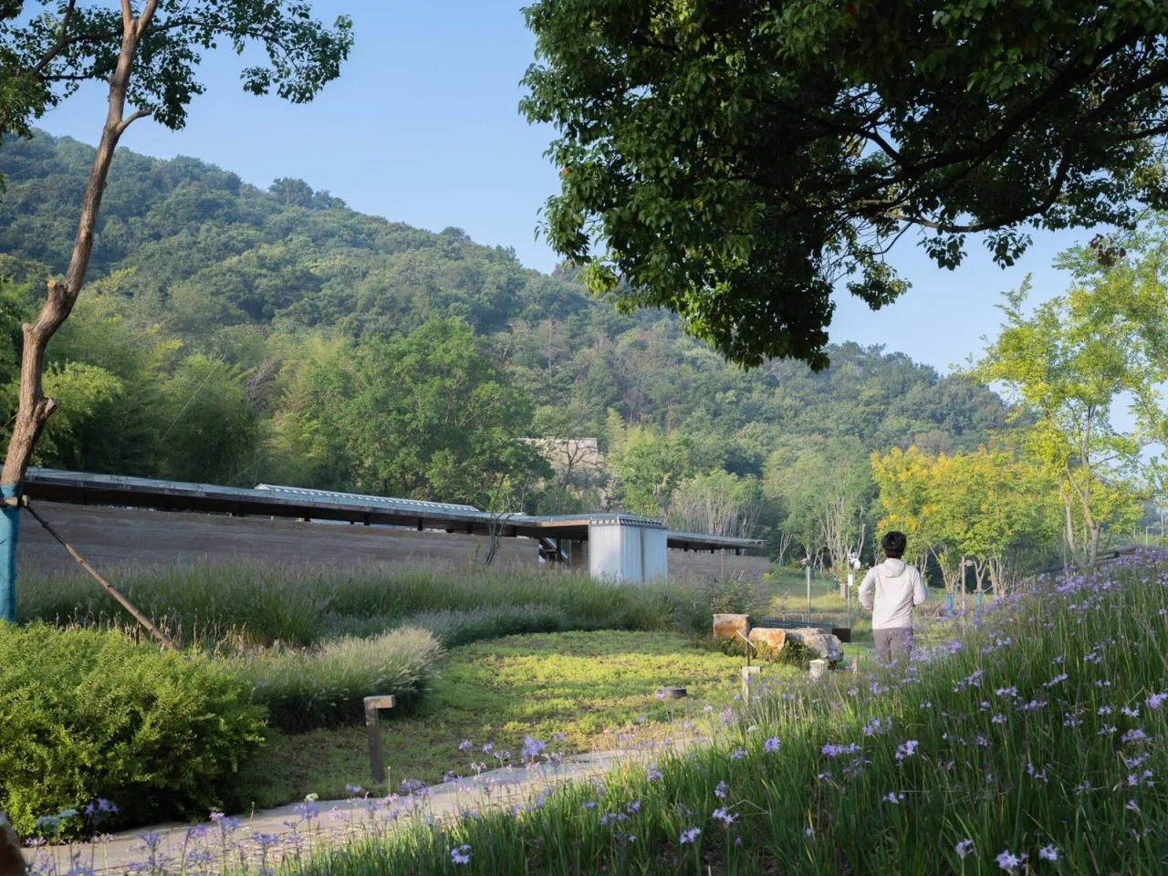 BIM Architecture | Nanjing Tangshan Ape Man Cave Tourist Station/Architecture Technology and Art (ATA) Studio of Southeast University Architectural Design and Research Institute
