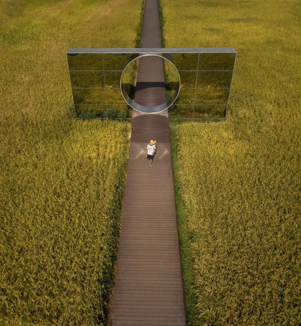 BIM Architecture | Amy Future Agriculture, Culture and Tourism Town/Additive Think Tank Design Firm