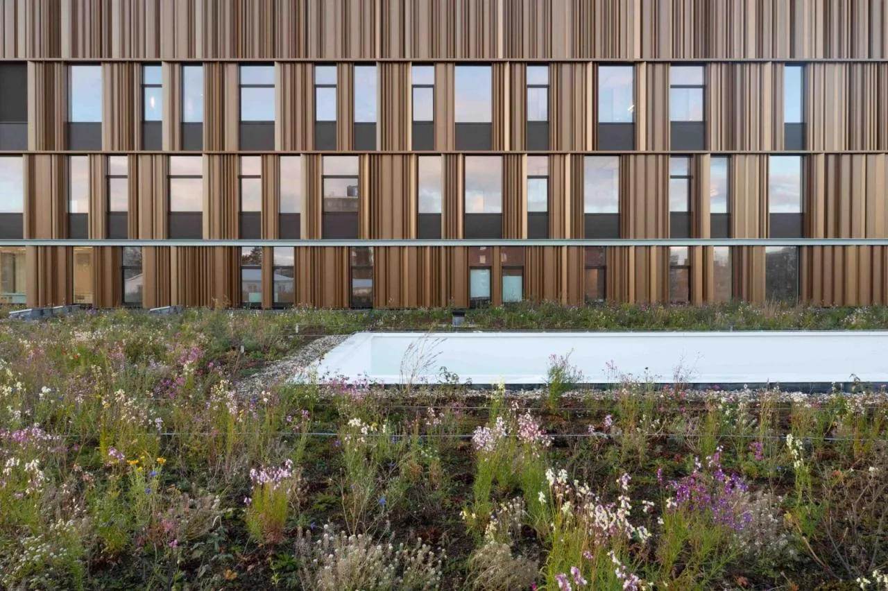 BIM Architecture | Isala Meppel Hospital/Vakwerk Architecture Firm
