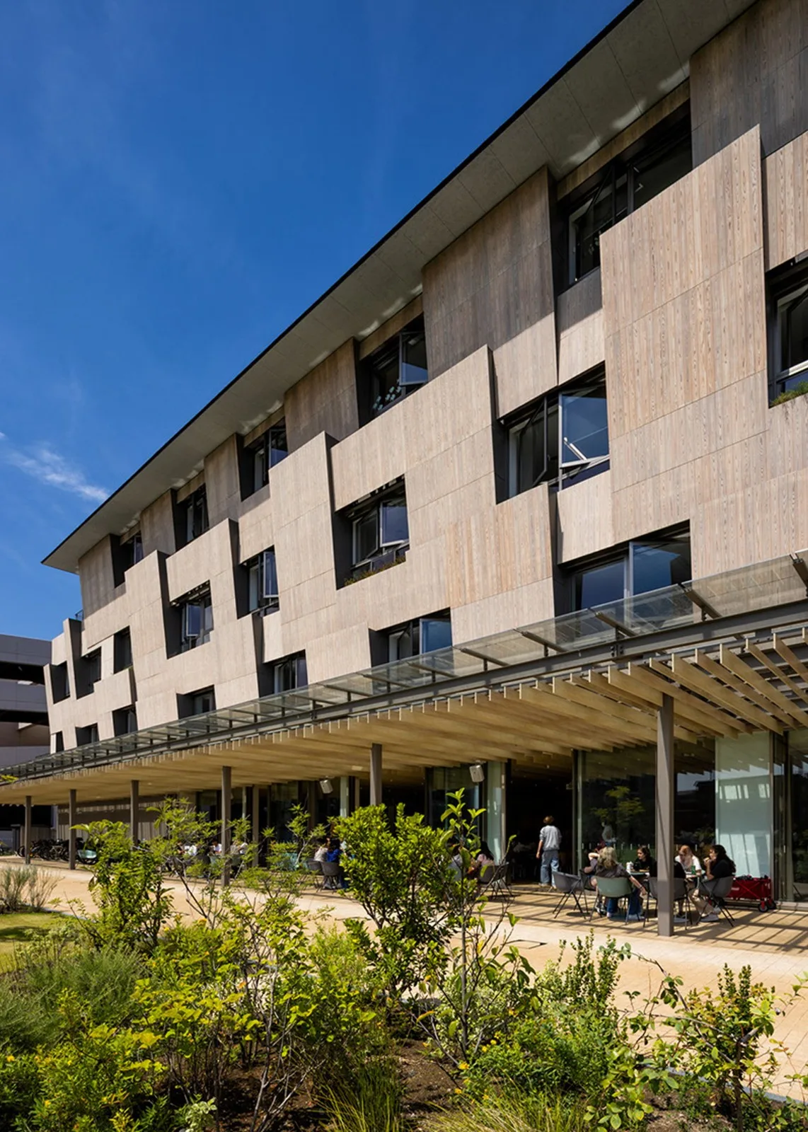 BIM Architecture | Yokohama International School, both interior and exterior wooden finishes/Dacheng Construction+Kengo Kuma Architecture Urban Design Firm
