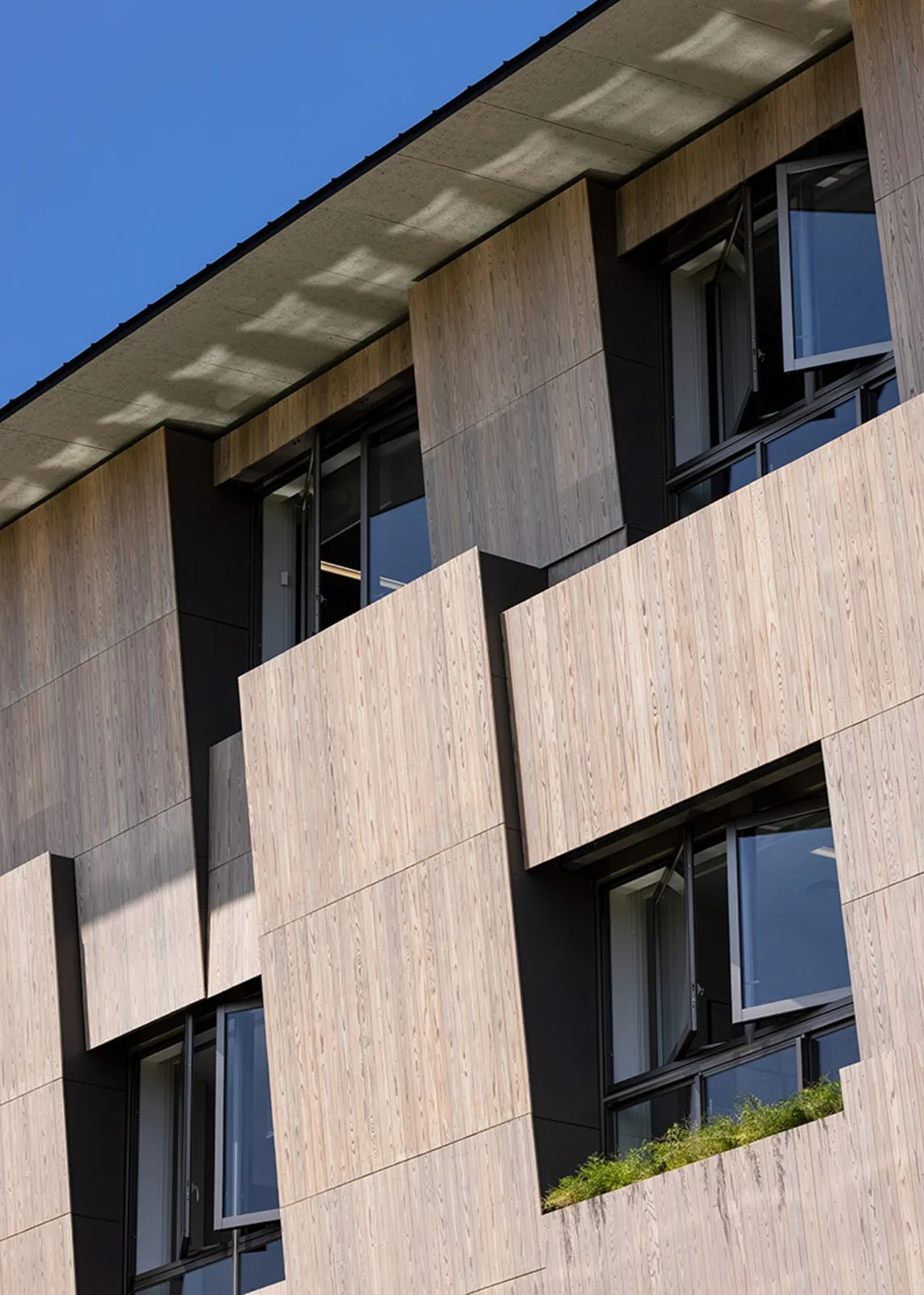 BIM Architecture | Yokohama International School, both interior and exterior wooden finishes/Dacheng Construction+Kengo Kuma Architecture Urban Design Firm