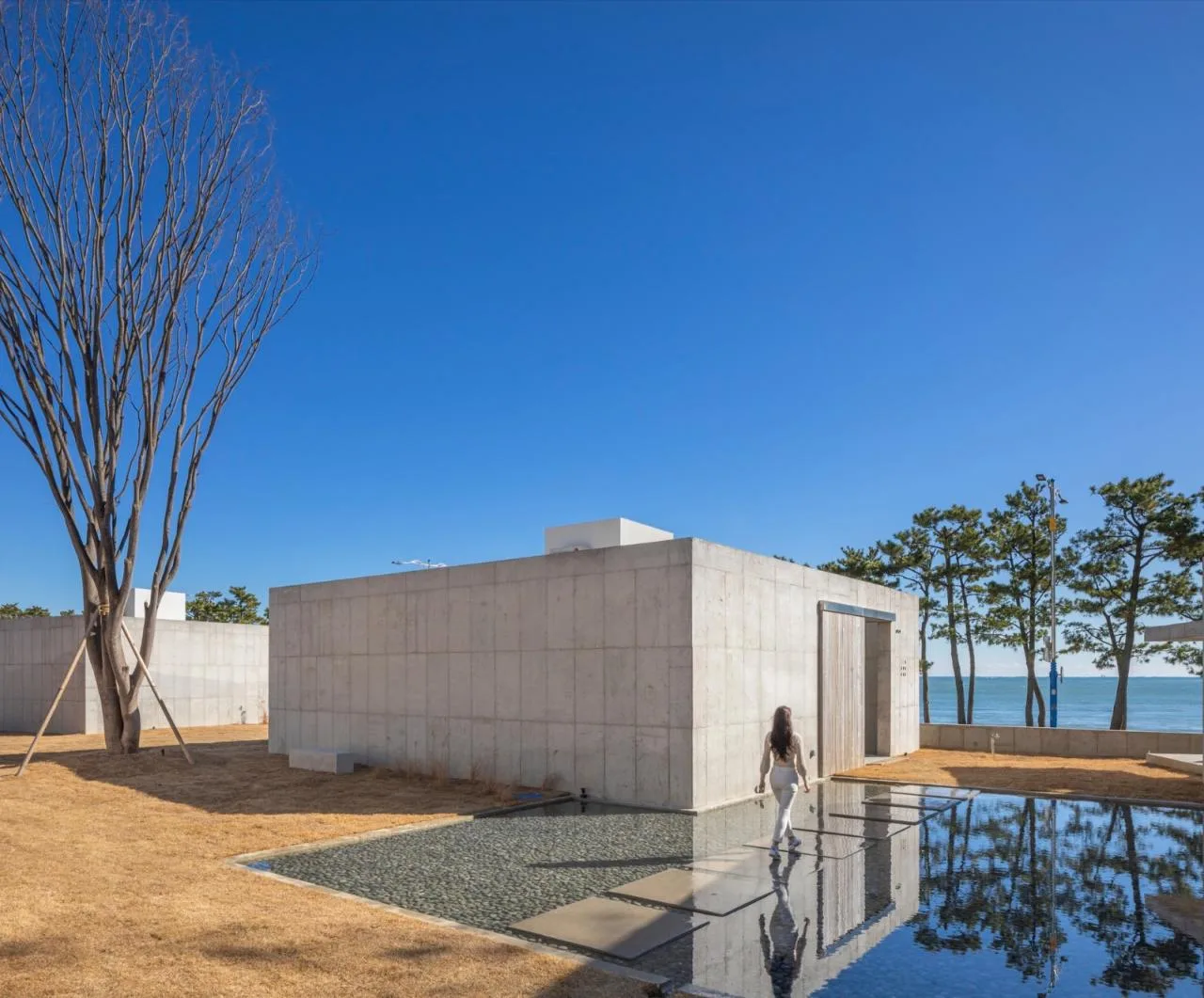 BIM Architecture | MimSim Home/On Architects Inc
